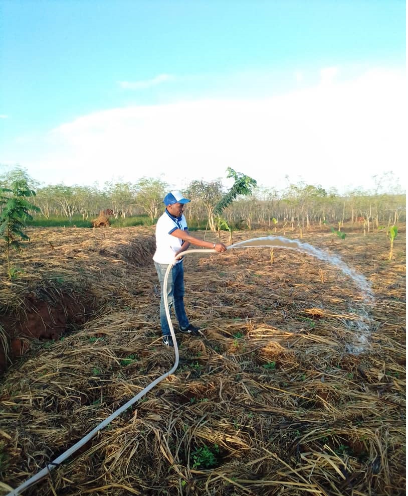 Pro water Rwanda projects